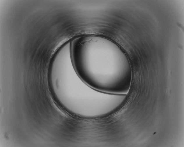 X0000097820530200803140808