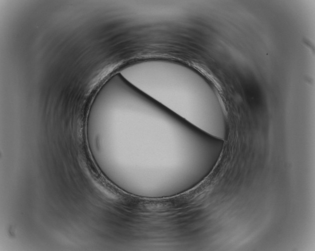 X0000097820533200803140808