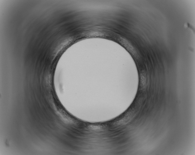X0000097820534200803140808