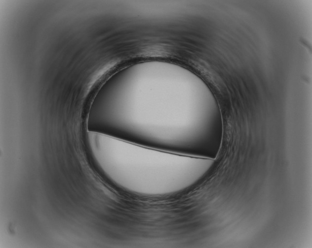 X0000097820535200803140808