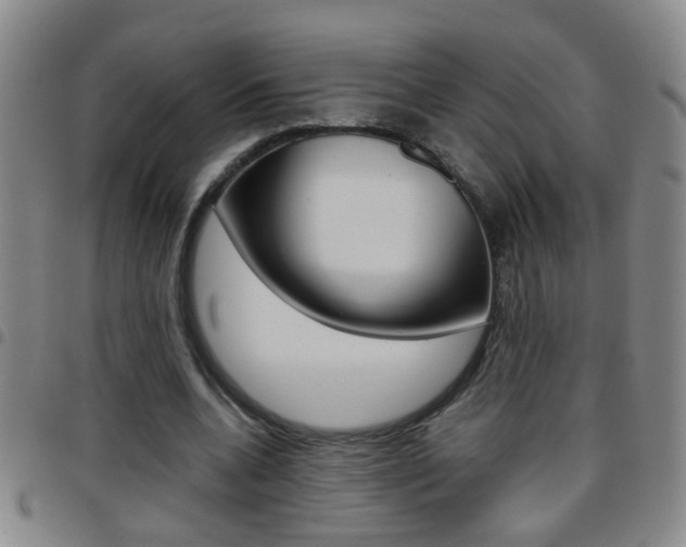 X0000097820536200803140808