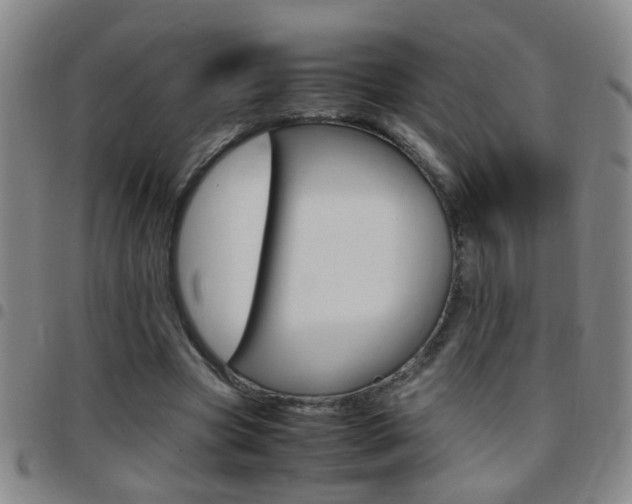 X0000097820537200803140808