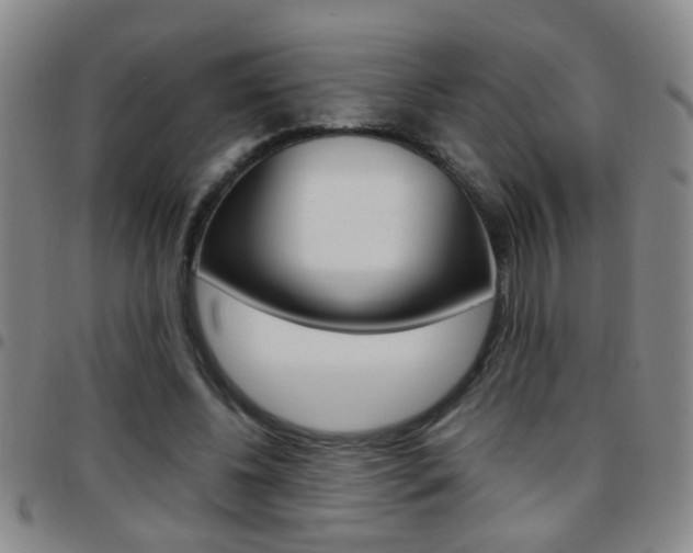 X0000097820540200803140808