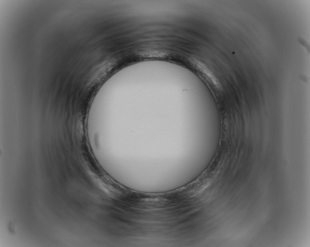 X0000097820541200803140808