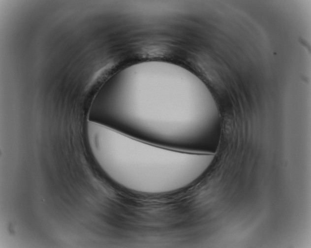 X0000097820543200803140808