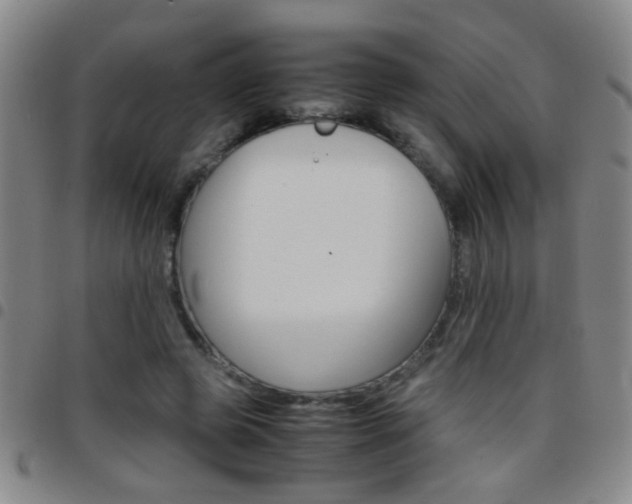 X0000097820545200803140808