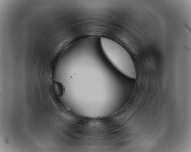 X0000097820547200803140808