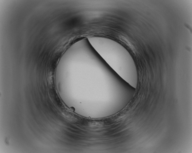X0000097820549200803140808