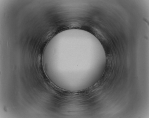 X0000097820550200803140808