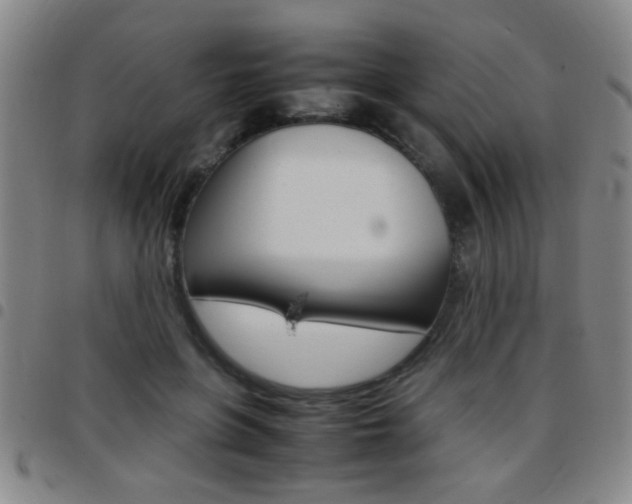 X0000097820551200803140808