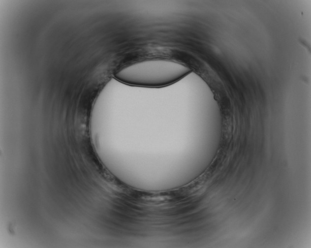 X0000097820553200803140808