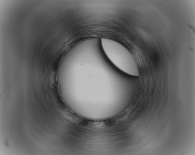 X0000097820554200803140808