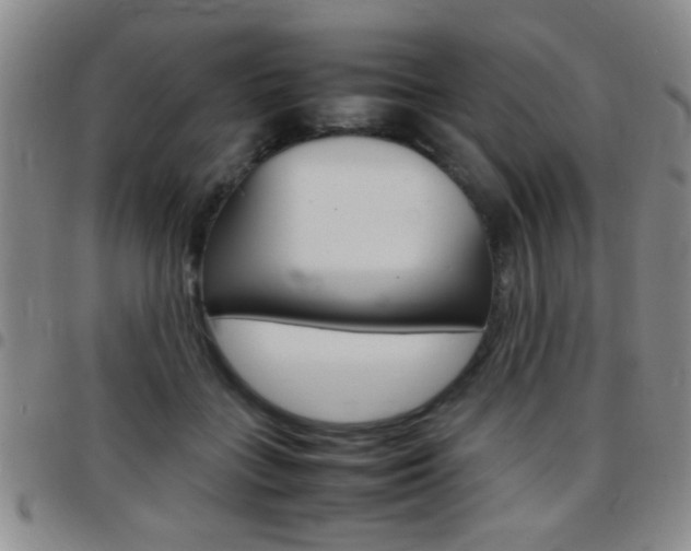 X0000097820555200803140808