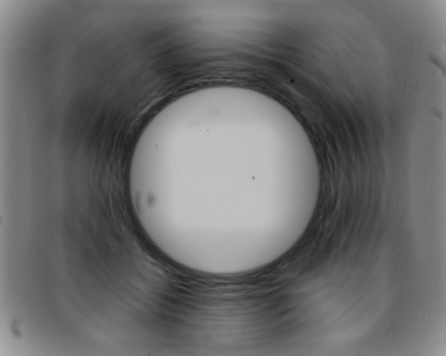 X0000097820556200803140808