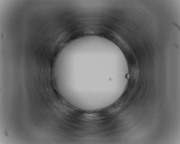 X0000097820557200803140808