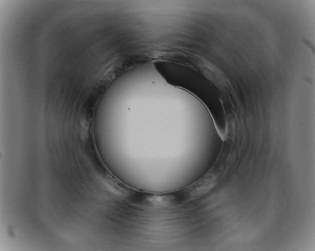 X0000097820558200803140808
