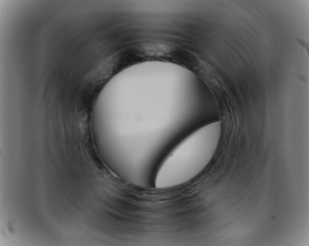 X0000097820559200803140808
