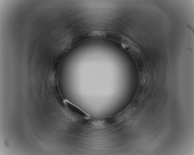 X0000097820560200803140808