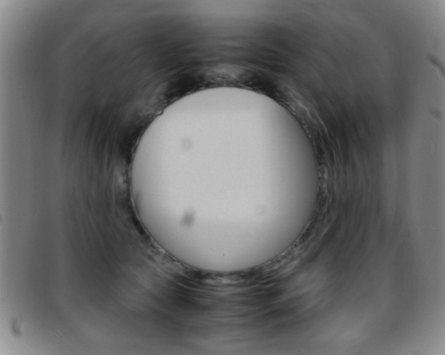 X0000097820561200803140808