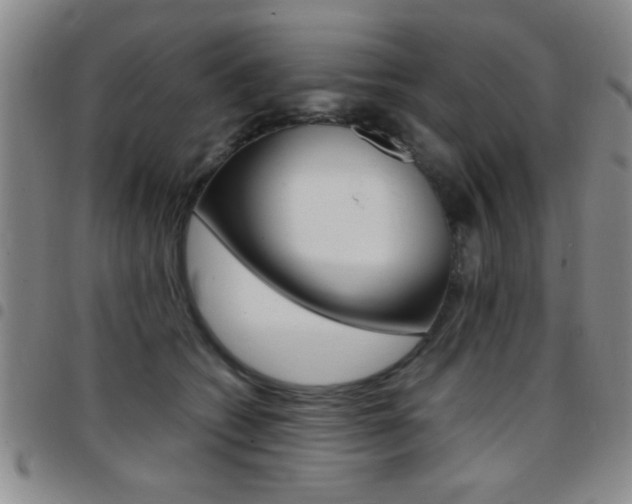 X0000097820562200803140808