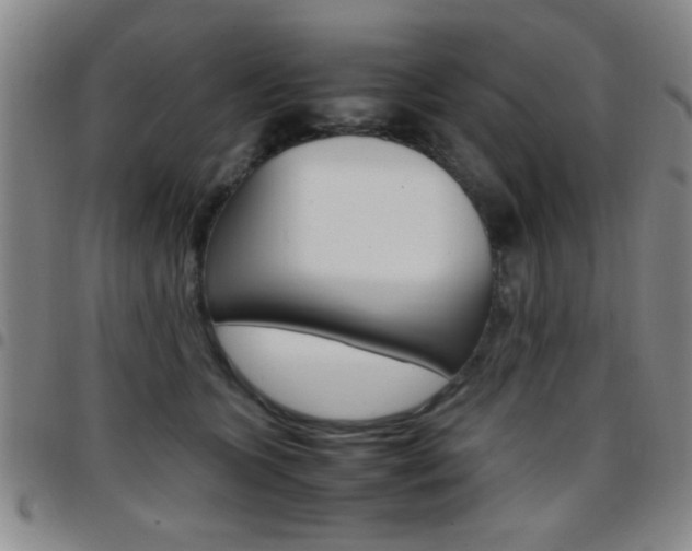 X0000097820563200803140808