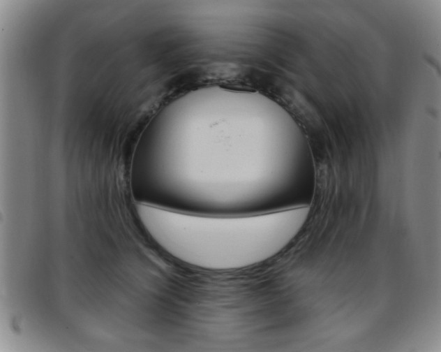 X0000097820564200803140808