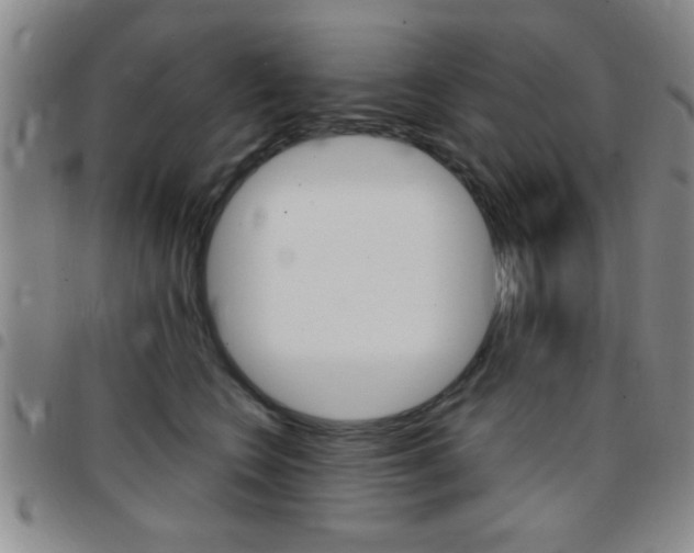 X0000097820566200803140808