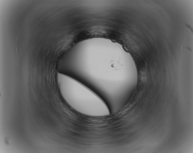 X0000097820567200803140808
