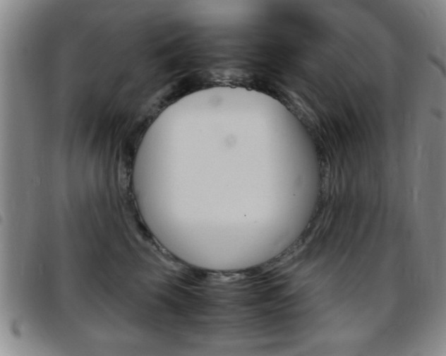 X0000097820569200803140808