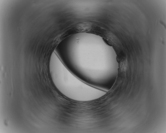 X0000097820570200803140808