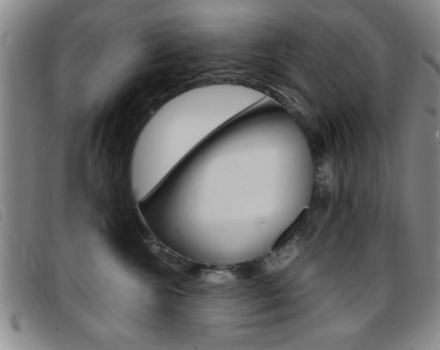 X0000097820572200803140808