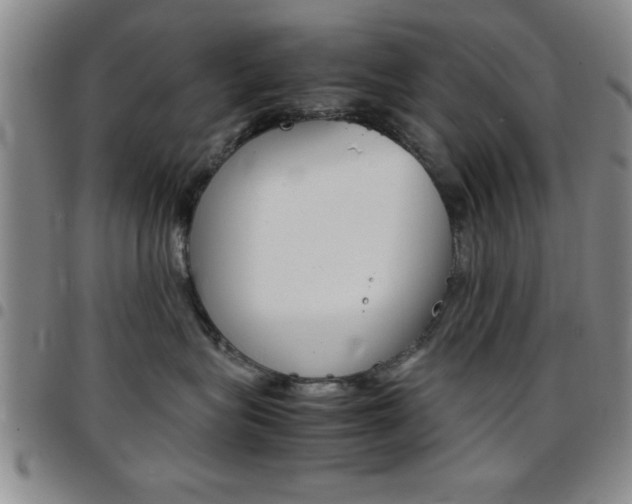 X0000097820575200803140808