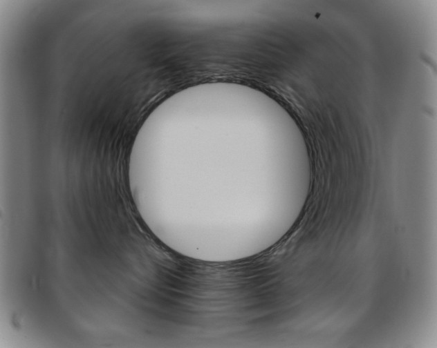 X0000097820576200803140808