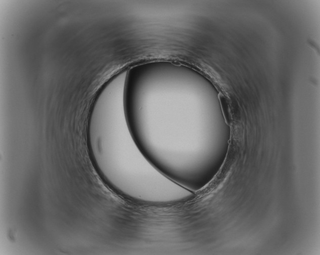X0000097820577200803140807