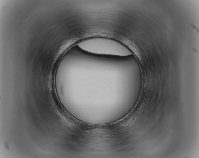 X0000097820578200803140807