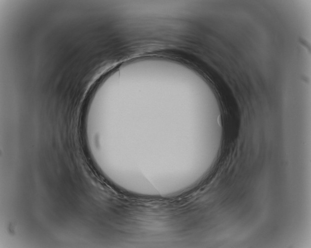 X0000097820579200803140807
