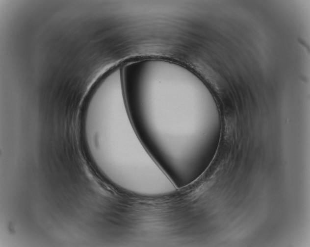 X0000097820580200803140807