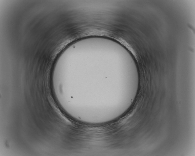X0000097820581200803140807