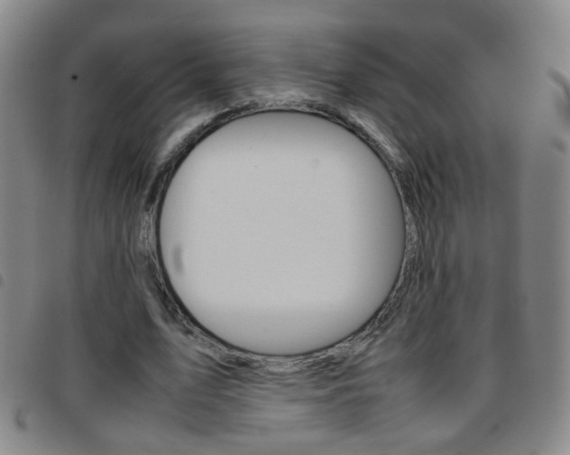 X0000097820583200803140807