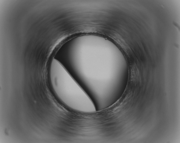 X0000097820584200803140807