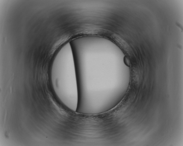 X0000097820586200803140807