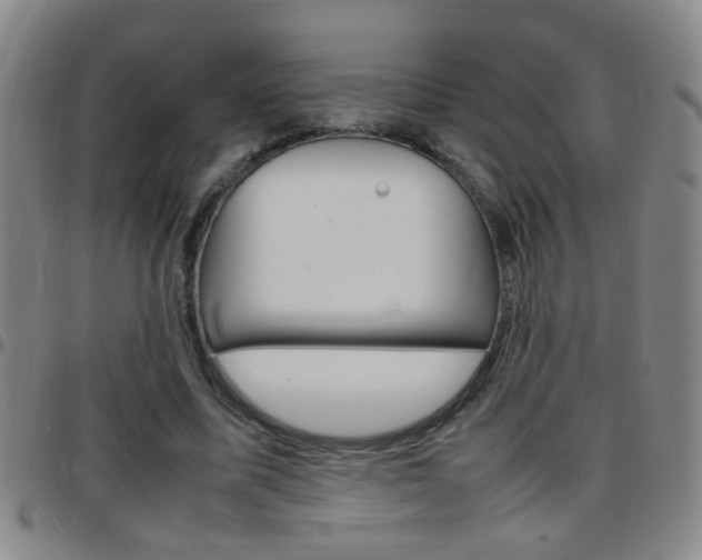 X0000097820587200803140807