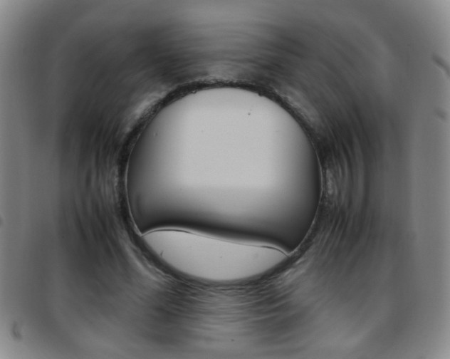 X0000097820588200803140807