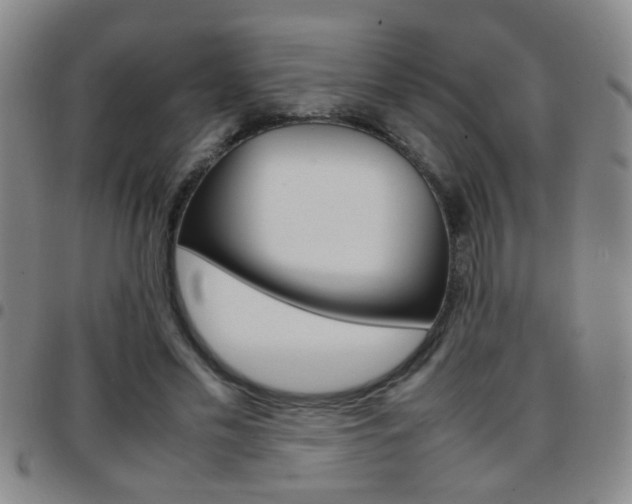 X0000097820589200803140807