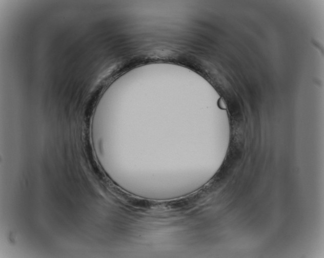 X0000097820591200803140807