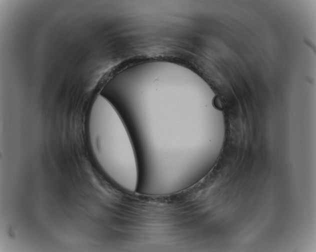 X0000097820592200803140807