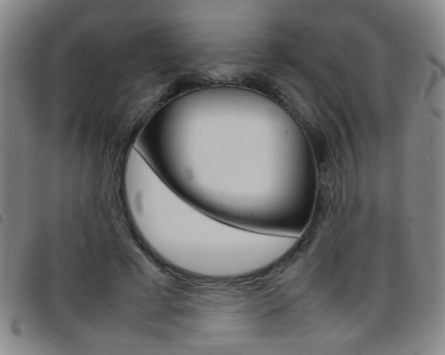 X0000097820593200803140807