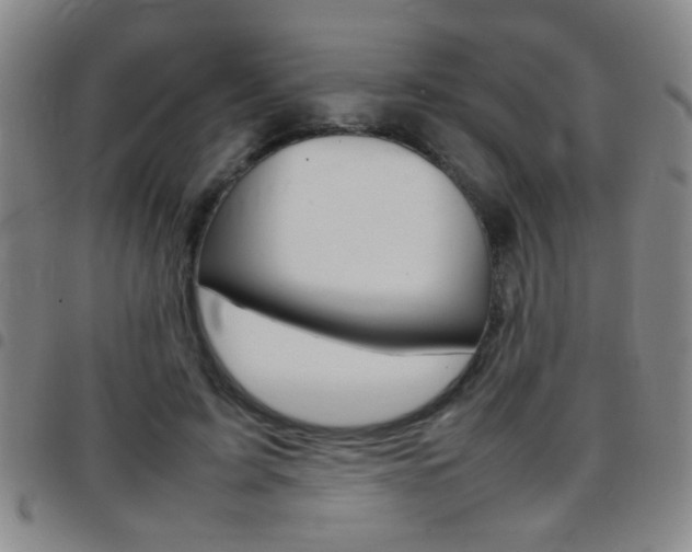 X0000097820595200803140807