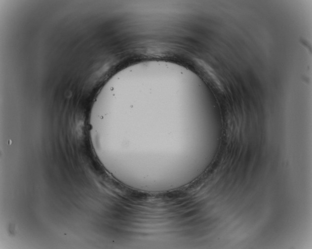 X0000097820596200803140807