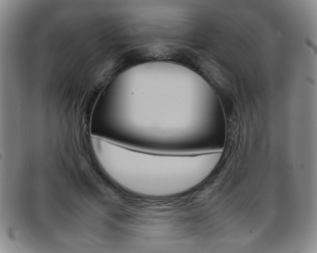 X0000097820597200803140807